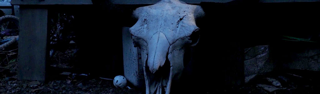 Promotional picture of From The Dark.